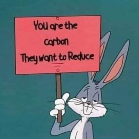 you-are-the-carbon-they-want-to-reduce.jpg
