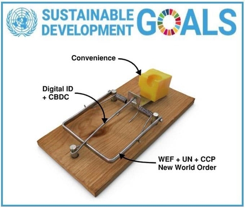 the-sustainable-mousetrap.jpg