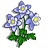 Columbine