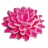 Decorative Food Ideas