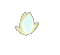 waterlily