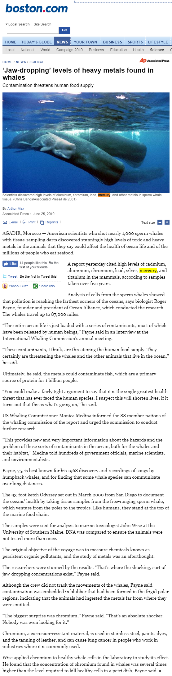 boston-news-science-articles-2010-06-25-jaw_dropping_levels_of_heavy_metals_found_in_whales.png